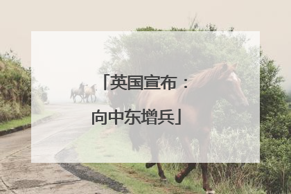 英国宣布：向中东增兵