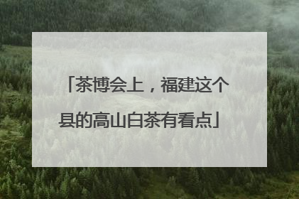 茶博会上，福建这个县的高山白茶有看点