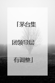 茅台集团领导层有调整