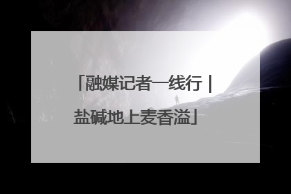融媒记者一线行｜盐碱地上麦香溢