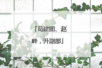 葛建团、赵峰，升副部