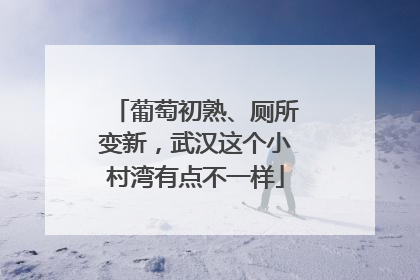 葡萄初熟、厕所变新，武汉这个小村湾有点不一样