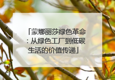 蒙娜丽莎绿色革命：从绿色工厂到低碳生活的价值传递