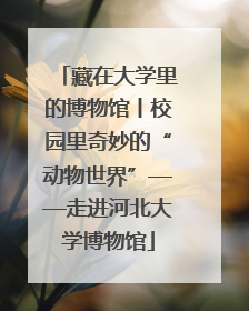 藏在大学里的博物馆丨校园里奇妙的“动物世界”——走进河北大学博物馆