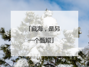 藏海，是另一个甄嬛