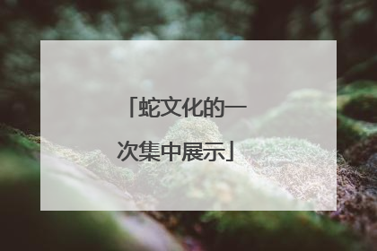 蛇文化的一次集中展示