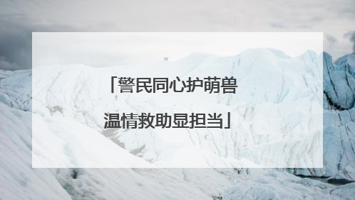 警民同心护萌兽 温情救助显担当