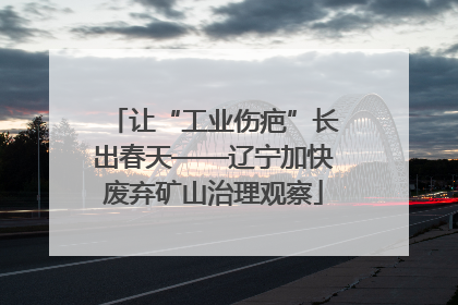 让“工业伤疤”长出春天——辽宁加快废弃矿山治理观察
