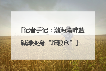 记者手记：渤海湾畔盐碱滩变身“新粮仓”