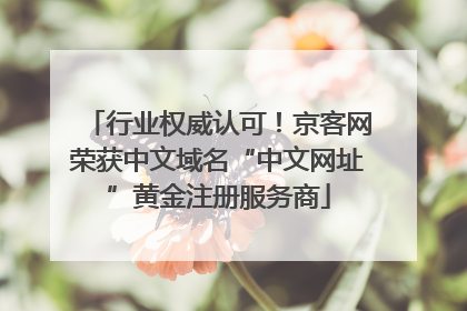 行业权威认可！京客网荣获中文域名“中文网址”黄金注册服务商