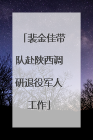 裴金佳带队赴陕西调研退役军人工作