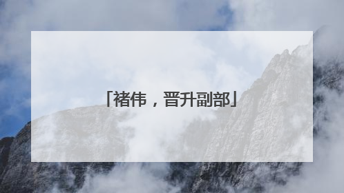 褚伟，晋升副部