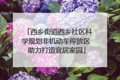 西乡街道西乡社区科学规划非机动车停放区 助力打造宜居家园
