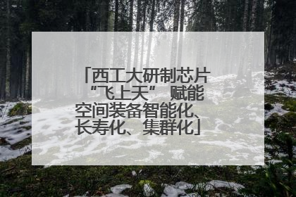 西工大研制芯片“飞上天” 赋能空间装备智能化、长寿化、集群化