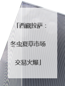西藏拉萨：冬虫夏草市场交易火爆