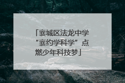 襄城区法龙中学“襄约学科学”点燃少年科技梦