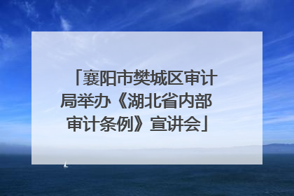 襄阳市樊城区审计局举办《湖北省内部审计条例》宣讲会