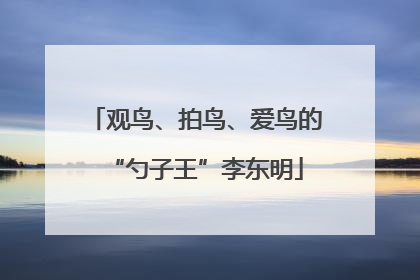 观鸟、拍鸟、爱鸟的“勺子王”李东明
