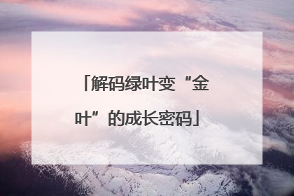 解码绿叶变“金叶”的成长密码
