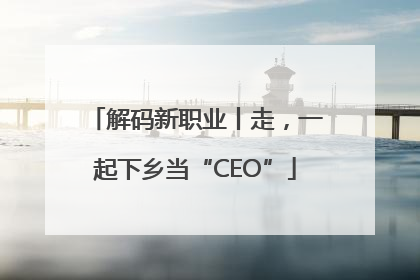 解码新职业丨走，一起下乡当“CEO”