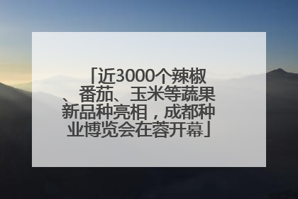近3000个辣椒、番茄、玉米等蔬果新品种亮相，成都种业博览会在蓉开幕