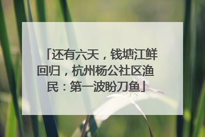 还有六天，钱塘江鲜回归，杭州杨公社区渔民：第一波盼刀鱼