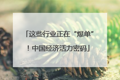 这些行业正在“爆单”！中国经济活力密码