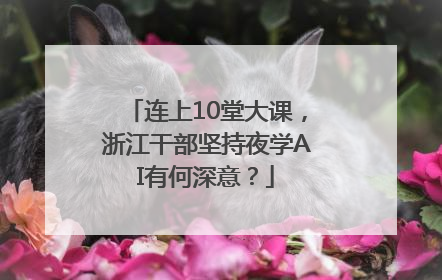 连上10堂大课，浙江干部坚持夜学AI有何深意？