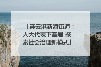 连云港新海街道：人大代表下基层 探索社会治理新模式