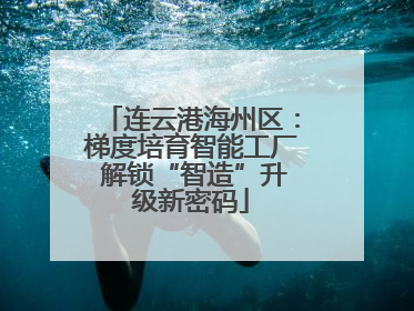 连云港海州区：梯度培育智能工厂 解锁“智造”升级新密码