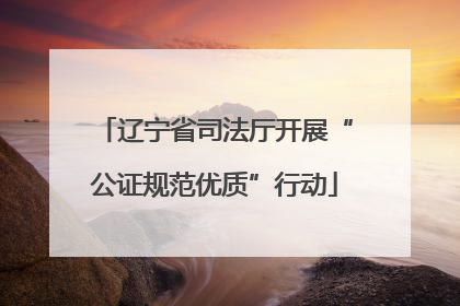 辽宁省司法厅开展“公证规范优质”行动