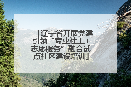 辽宁省开展党建引领“专业社工+志愿服务”融合试点社区建设培训
