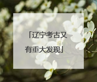 辽宁考古又有重大发现