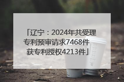 辽宁：2024年共受理专利预审请求7468件 获专利授权4213件