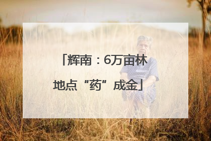 辉南：6万亩林地点“药”成金