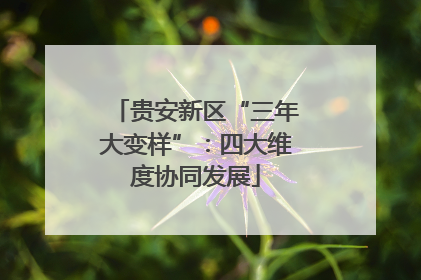 贵安新区“三年大变样”：四大维度协同发展