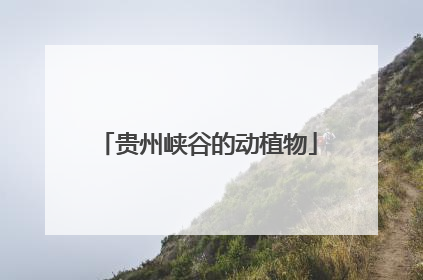 贵州峡谷的动植物
