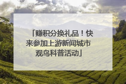 赚积分换礼品！快来参加上游新闻城市观鸟科普活动