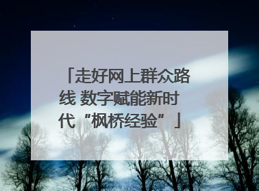 走好网上群众路线 数字赋能新时代“枫桥经验”