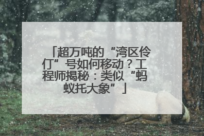 超万吨的“湾区伶仃”号如何移动？工程师揭秘：类似“蚂蚁托大象”