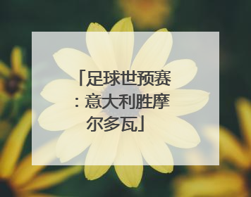 足球世预赛：意大利胜摩尔多瓦