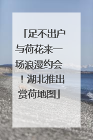足不出户与荷花来一场浪漫约会！湖北推出赏荷地图