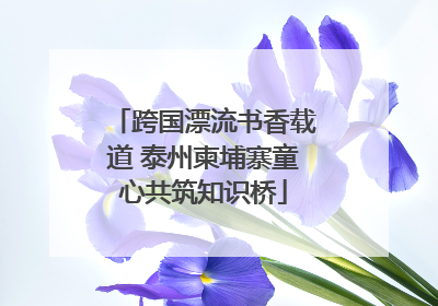 跨国漂流书香载道 泰州柬埔寨童心共筑知识桥