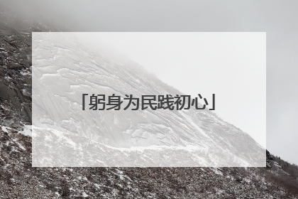 躬身为民践初心