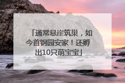 通常悬崖筑巢，如今首钢园安家！还孵出10只萌宝宝