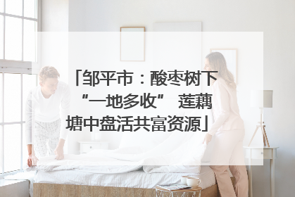 邹平市：酸枣树下“一地多收” 莲藕塘中盘活共富资源