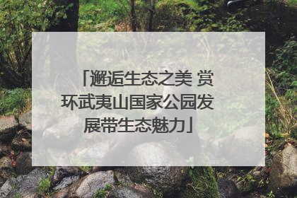 邂逅生态之美 赏环武夷山国家公园发展带生态魅力