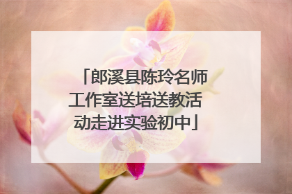 郎溪县陈玲名师工作室送培送教活动走进实验初中