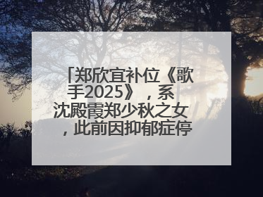 郑欣宜补位《歌手2025》，系沈殿霞郑少秋之女，此前因抑郁症停工两年