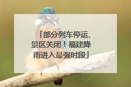 部分列车停运、景区关闭！福建降雨进入最强时段